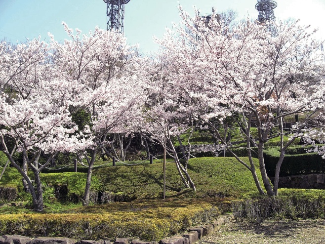 デートにぴったり の桜名所best3 そして花見の後は 日刊あわわ