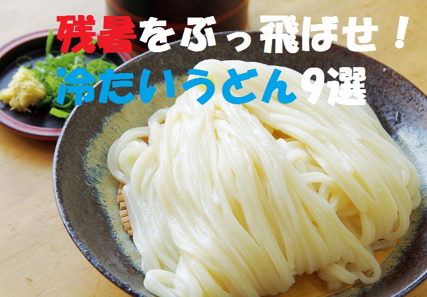残暑をぶっ飛ばせ 冷たいうどん9選 日刊あわわ 残暑をぶっ飛ばせ 冷たいうどん9選 日刊あわわ