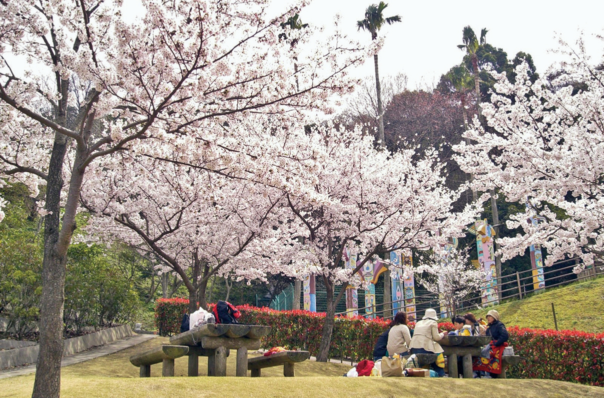 《まとめ》徳島のお花見スポット11選♪　シーズン到来。こどもと一緒に桜の景色を楽しもう！
