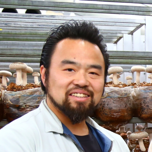 新さん