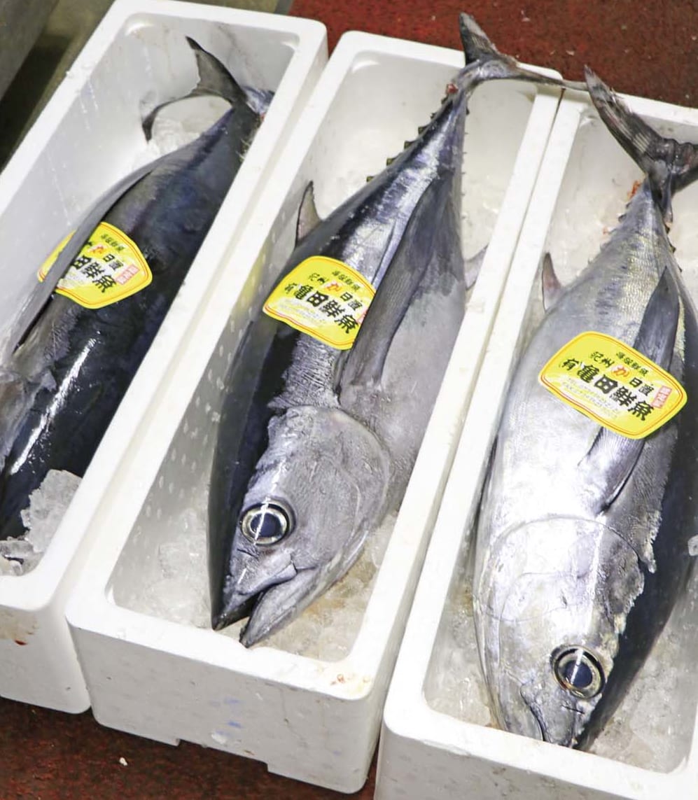 百萬堂 徳島市佐古二番町 安いだけじゃない 気が利いた品ぞろえにも大興奮 日刊あわわ 百萬堂 徳島市佐古二番町 安いだけじゃない 気が利いた品ぞろえにも大興奮 日刊あわわ