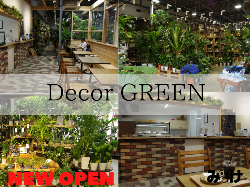 【3月オープン/徳島市】暑いときも見ているだけで涼やかに…。グリーンのある生活を提案してくれるショップ＆カフェ「Decor GREEN（デコールグリーン）／ earth cafe（アースカフェ）」