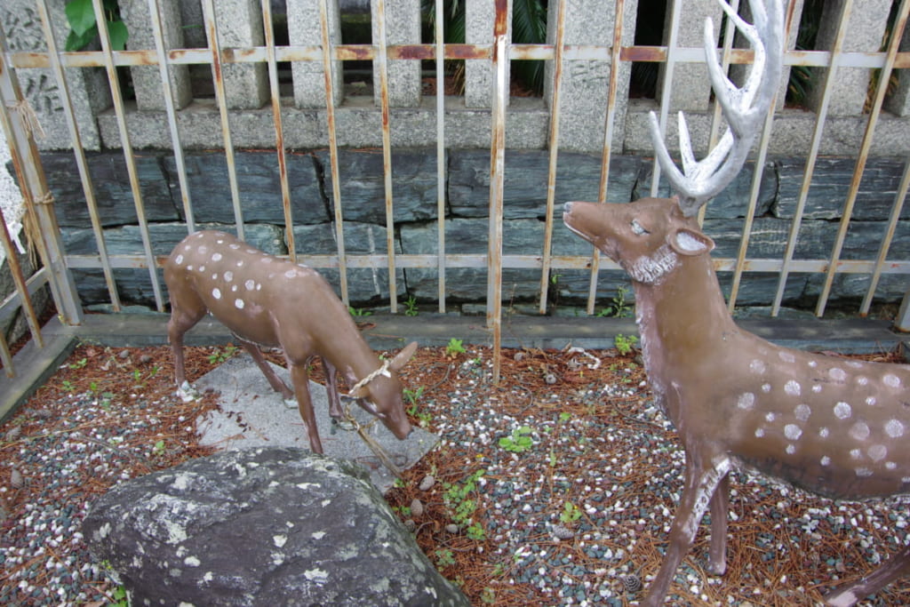 カと奇石の伝説を追え 徳島市福島 四所 ししょ 神社 日刊あわわ