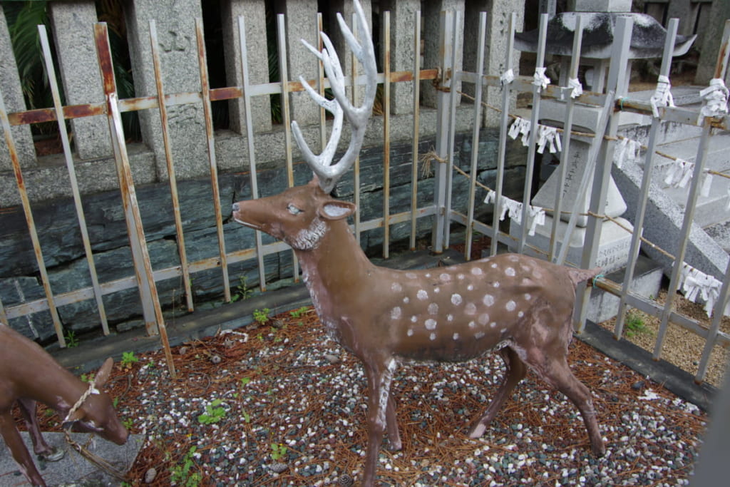 カと奇石の伝説を追え 徳島市福島 四所 ししょ 神社 日刊あわわ
