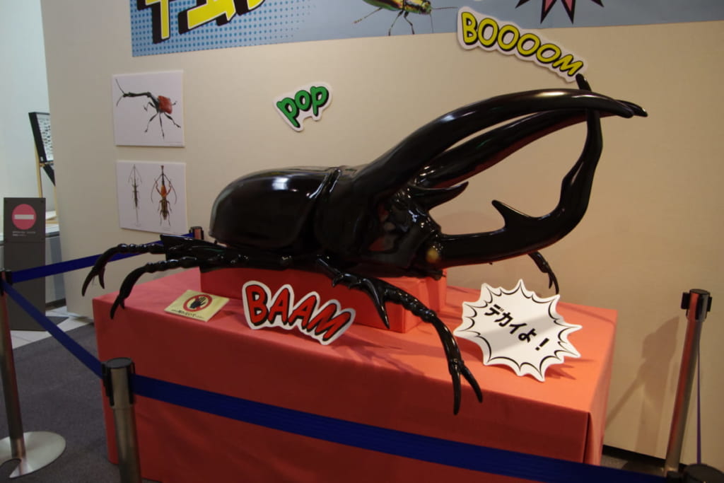 【香川照之さんに届けたいぜ!!】徳島県立博物館『甲虫すごいぜ！』に絶対行くべき「すごいぜ！」ポイントを伝授するぜ！