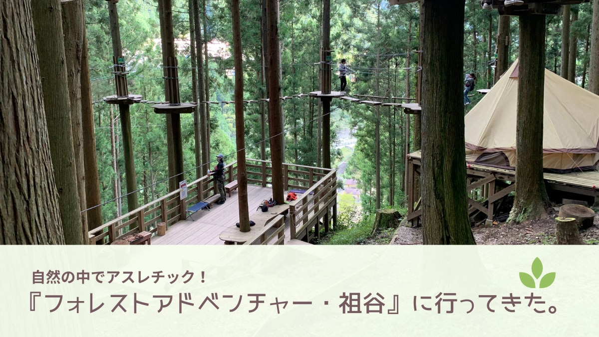 自然の中でアスレチック フォレストアドベンチャー 祖谷 に行ってきた 日刊あわわ