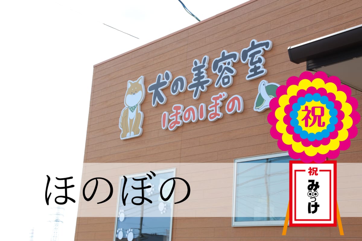 ペット 日刊あわわ ペット 日刊あわわ