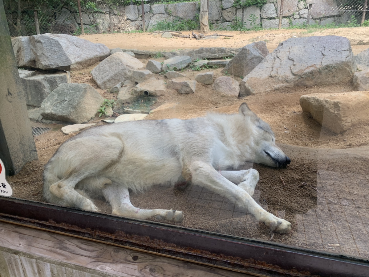 まとめ 徳島の街ネタトピックスを厳選取って出し 旬トピ 10月3日 10月10日版 日刊あわわ