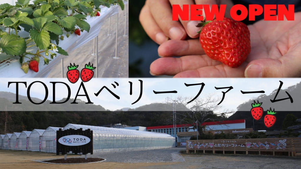 21 1月open Todaベリーファーム 鳴門市北灘町 グラウンドでいちご狩り 廃校が観光いちご農園として 再び人と笑顔が集まる場所に生まれ変わる 日刊あわわ 21 1月open Todaベリーファーム 鳴門市北灘町 グラウンドでいちご狩り 廃校が観光いちご農園として 再び人と笑顔が集まる場所に生まれ変わる 日刊あわわ