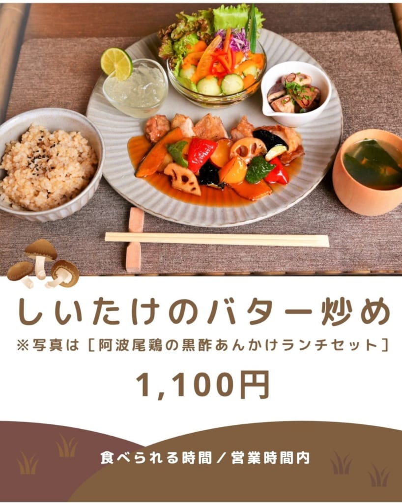 阿波ふうどメニューキャンペーン 今こそ徳島を味わおう 生しいたけ編 日刊あわわ 阿波ふうどメニューキャンペーン 今こそ徳島を味わおう 生しいたけ編 日刊あわわ