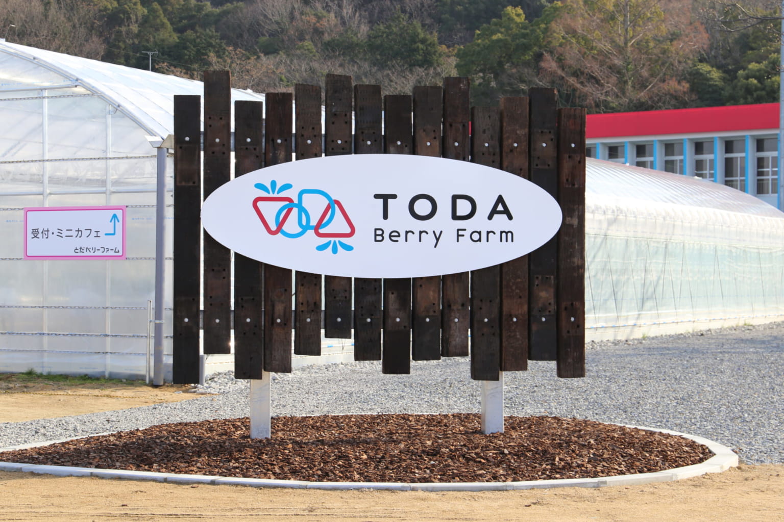 【2021.1月OPEN】TODAベリーファーム（鳴門市北灘町）グラウンドでいちご狩り!? 廃校が観光いちご農園として、再び人と笑顔が集まる場所に生まれ変わる