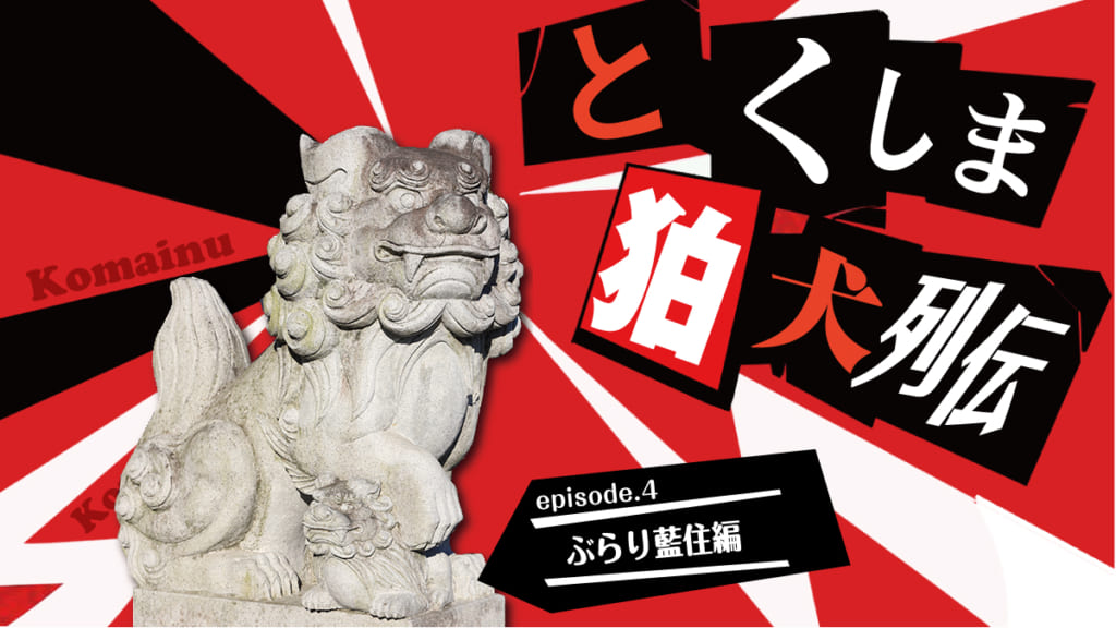 徳島探訪 とくしま狛犬列伝 ぶらり藍住編 日刊あわわ 徳島探訪 とくしま狛犬列伝 ぶらり藍住編 日刊あわわ