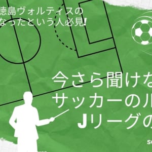 スポーツ 徳島ヴォルティス 今さら聞けない サッカーのルール Jリーグの制度 日刊あわわ スポーツ 徳島ヴォルティス 今さら聞けない サッカーのルール Jリーグの制度 日刊あわわ