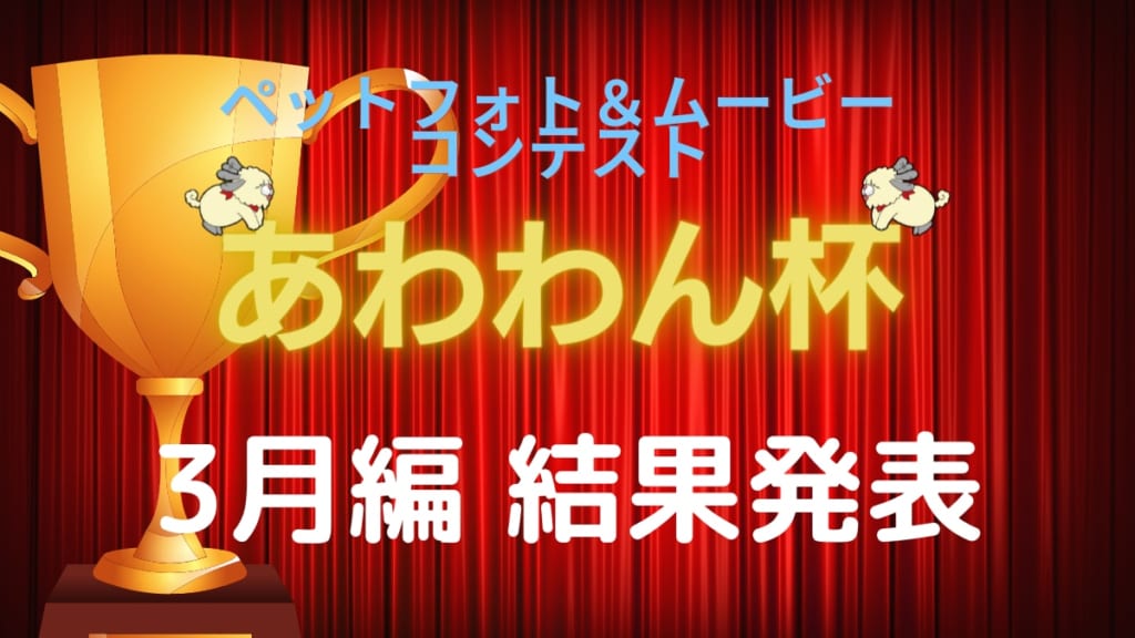 ペット写真 ムービー投稿企画 遅れてごめんなさい あわわん杯 3月編 結果発表 日刊あわわ