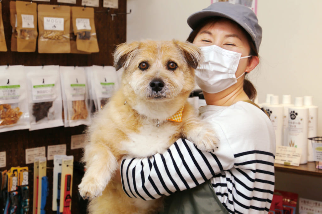 2021 5月open Dog Salon Picnic ピクニック 徳島市新浜本町 犬好きさん注目の犬雑貨は うちの子 オリジナルオーダーもok 日刊あわわ