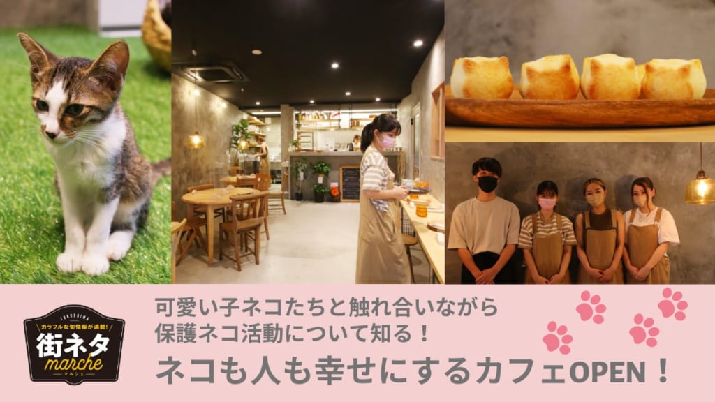 街ネタ 可愛い子ネコたちと触れ合いながら保護ネコ活動について知る ネコも人も幸せにするカフェopen 徳島市福島 日刊あわわ 街ネタ 可愛い子ネコたちと触れ合いながら保護ネコ活動について知る ネコも人も幸せにするカフェopen 徳島市福島 日刊あわわ