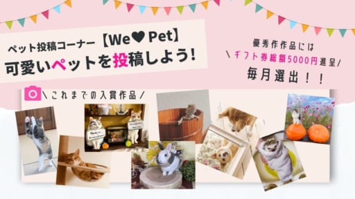 優秀作品にはギフト券進呈！『We love Pet』内ペット投稿コーナー『ベストショットコンテスト』応募概要