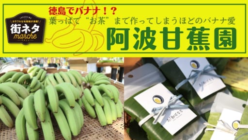 【街ネタ/阿波甘蕉園（あわかんしょうえん・阿波市吉野町）】徳島でバナナ！？葉っぱで‟お茶”まで作ってしまうほどのバナナ愛