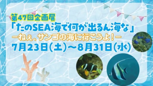 第47回企画展「たのSEA海で何がでるん海な」-ねぇ、サンゴの海に行こうよ！-